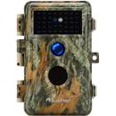 BlazeVideo A252