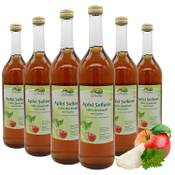 Bleichhof Apfelsaft mit Selleriesaft
