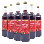 Bleichhof Roter Johannisbeersaft Vergleich