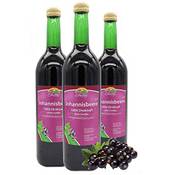 Bleichhof Schwarzer Johannisbeersaft