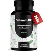 Bloom Naturals Beauty Supplements Vitamin B2 Vergleich