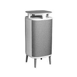 Blueair DustMagnet 5440i