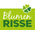 Blumen Risse