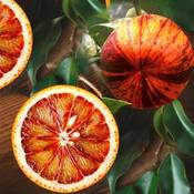 Blumen Senf Orangenbaum Arcobal