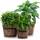 Blumfeldt Trifloris Holzeimer-Set
