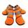Bnbnpup Hundeschuhe