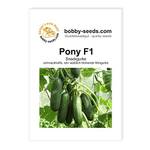 Bobby-Seeds 3812