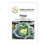Bobby-Seeds Saatzucht Weißkohl Polar