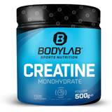 Bodylab24 Creatine Powder