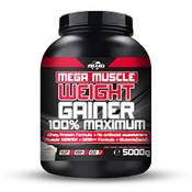 Bodyworldgroup Weight Gainer