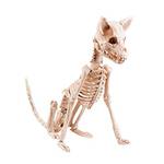 Boland Hundeskelett