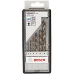 Bosch Pro Robust Line