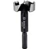 Bosch Professional Forstnerbohrer