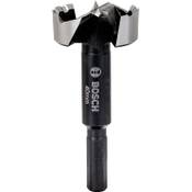 Bosch Professional Forstnerbohrer