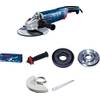 Bosch professional GWS 24-230 PZ