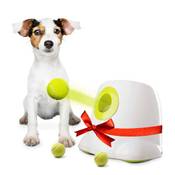Bot Ballwurfmaschine Ifetch Mini