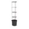 Botle Tomatenpflanze Blumentopf