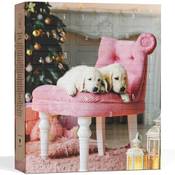 Boxiland Hunde Adventskalender (2025)