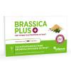 Cellavent Healthcare Brassica PLUS