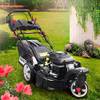 Brast BRB-RM-21224  TRIKE
