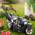Brast TRIKE 21224 SPEED