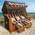 Brast Usedom