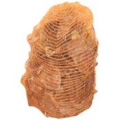 Breer Schweineohren Vergleich