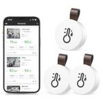 Brifit mit Smart Sensor App