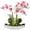 Blume im Topf