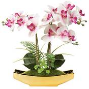 Briful Phalaenopsis Kunstorchidee