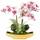 Briful Phalaenopsis Kunstorchidee