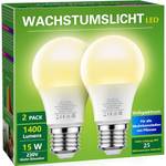 Briignite Wachstumslicht