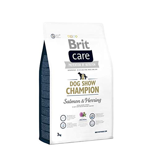 Brit-Care-Hundefutter: Top 10 Test & Vergleich