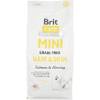 Brit Care Mini Grain Free Hair & Skin