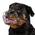 Bronzedog Hundemaulkorb