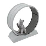 Brride Katzenlaufrad