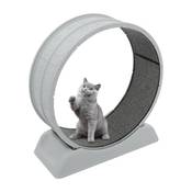 Brride Katzenlaufrad Vergleich