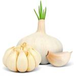 BSptyy Pflanzknoblauch