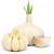 BSptyy Pflanzknoblauch