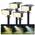 Btfarm Solarlampen
