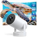 Beamer unter 100 Euro