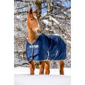 Bucas Freedom Turnout Pony
