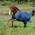 Bucas Irish Turnout Klassisch