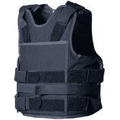 Buchner Sector TW19