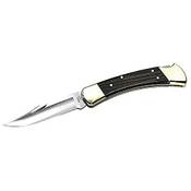 Buck Folding Hunter 110