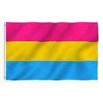 Buding Pansexual Pride Flag