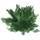 Bull & Bear Rose von Jericho
