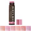Burt's Bees 792850894624
