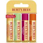 Burt's Bees Feuchtigkeits-Lippenbalsam