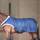 Busse 4026107574752